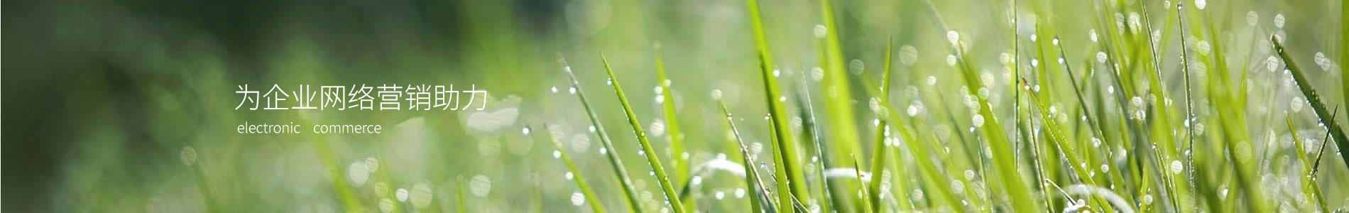 صӿƼ޹˾